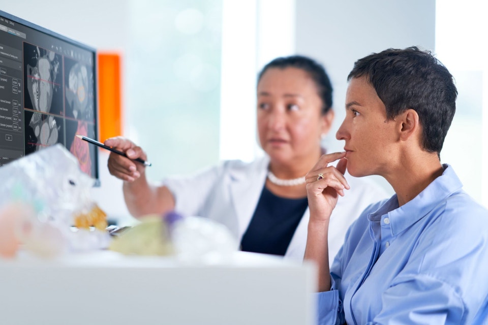 Healthcare profressional pointing to a computer screen, explaining something to another person