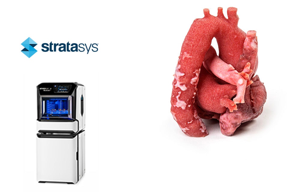 Imprimante 3D Stratasys à côté d'un modèle anatomique imprimé en 3D