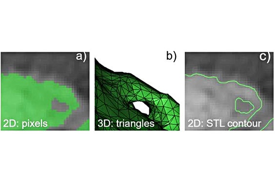 Aus den 2D-Daten (a) wurde ein STL erstellt (b), dessen Konturen sich mit dem 2D-Bildstabel vergleichen ließ (c)