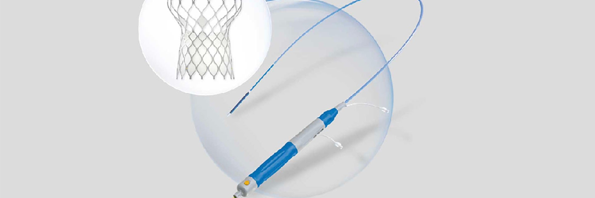 Digital image of tools for structural heart procedures