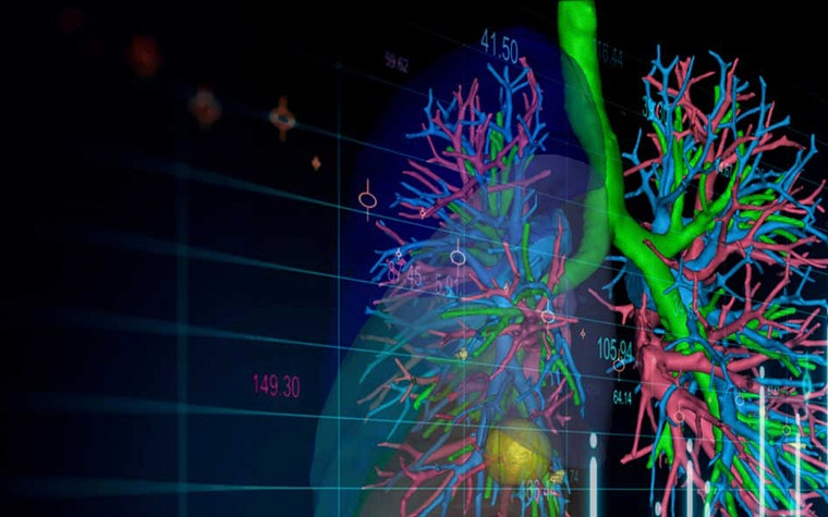 Digital, colorful image showing the anatomy of lungs