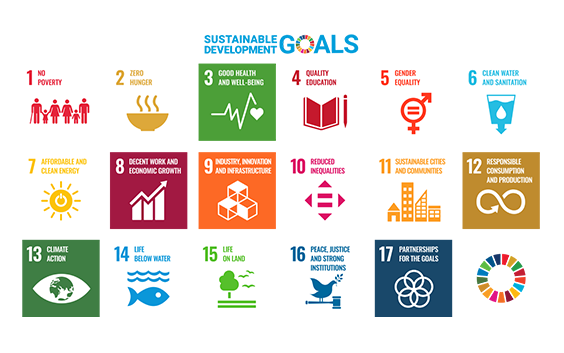 Graphic showing the 17 sustainable development goals