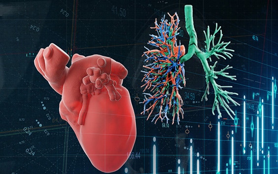 Digital render of a heart and the airways and circulation system in a pair of lungs