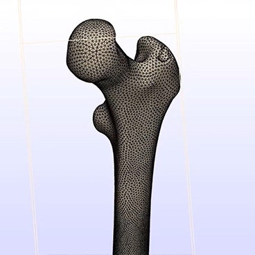 How to Prepare a Bone Model for FEA