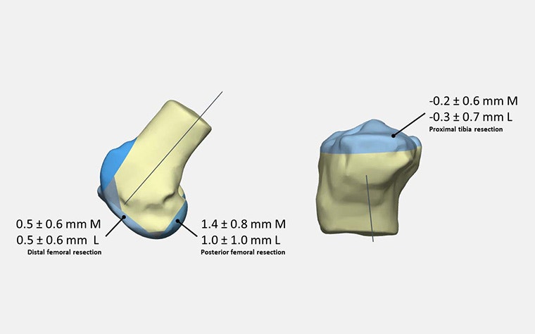 cimq-nee-guides-cadaver-lab.jpg