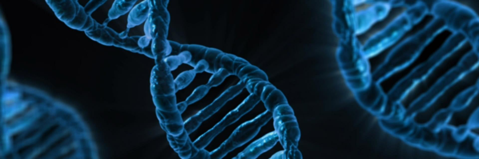 Visual of DNA strands