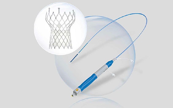Digital image of tools for structural heart procedures