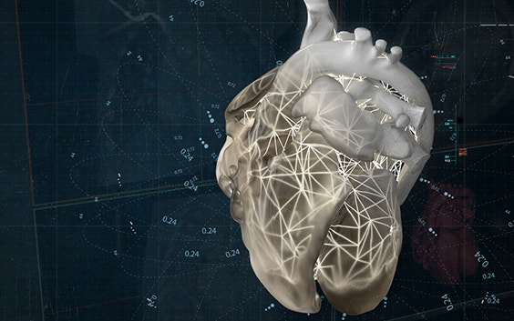 Digital render of a heart in 3D