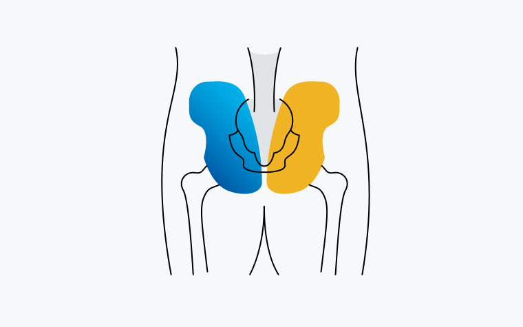 A diagram of the human body with the hips highlighted