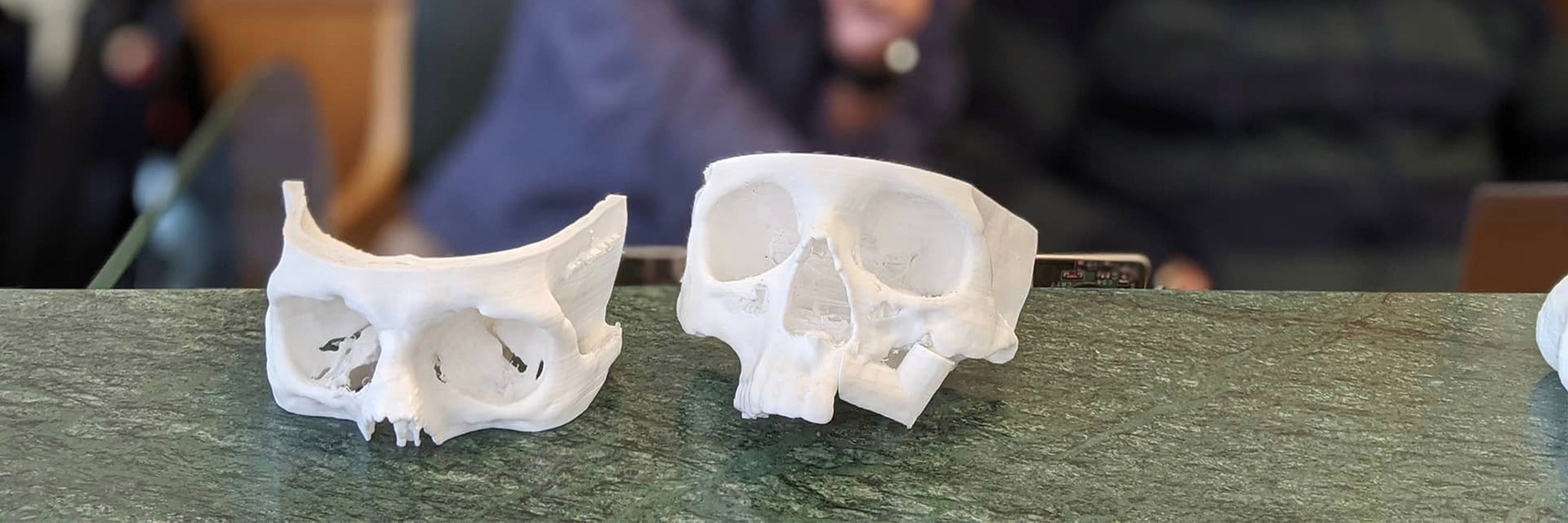 3D-printed skulls on a table 