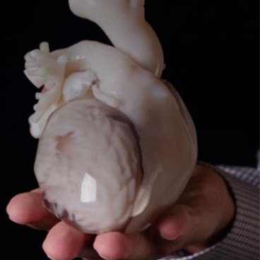 How to Create a Heart Model for 3D Printing