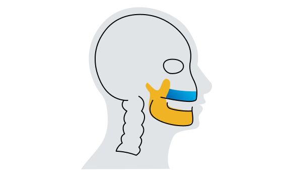newsletter-orthognathic-surgery.png