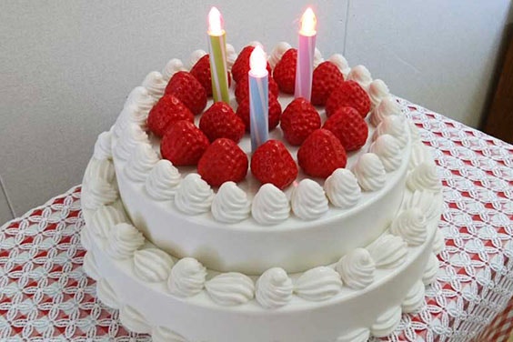 Toy cake with strawberries and candle on top