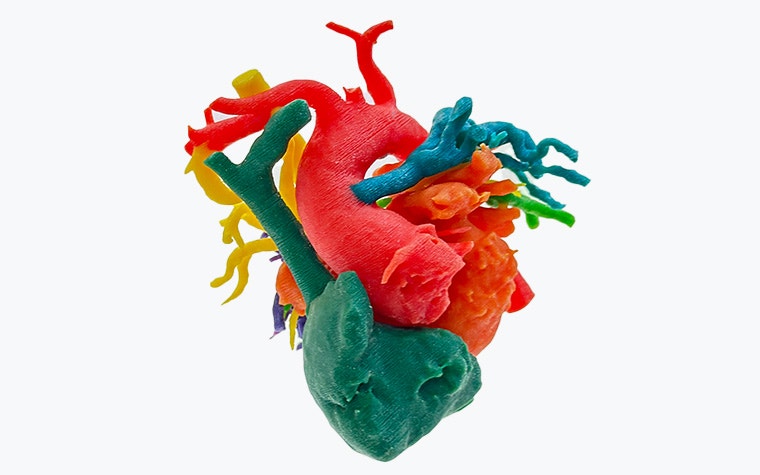 3d-printed-heart-model-front.jpg