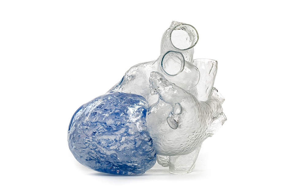 Transparent, 3D-printed model of a heart