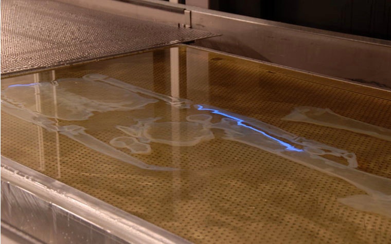 King Tut skeleton being printed via stereolithography in a bed of resin