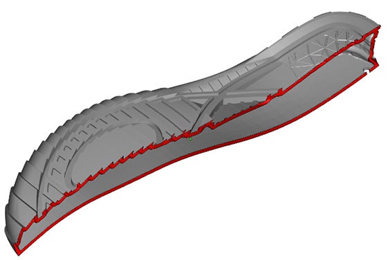 A 3D model of a shoe sole