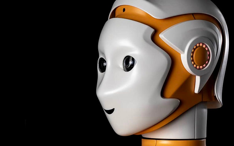 Headshot of the ARI humanoid robot