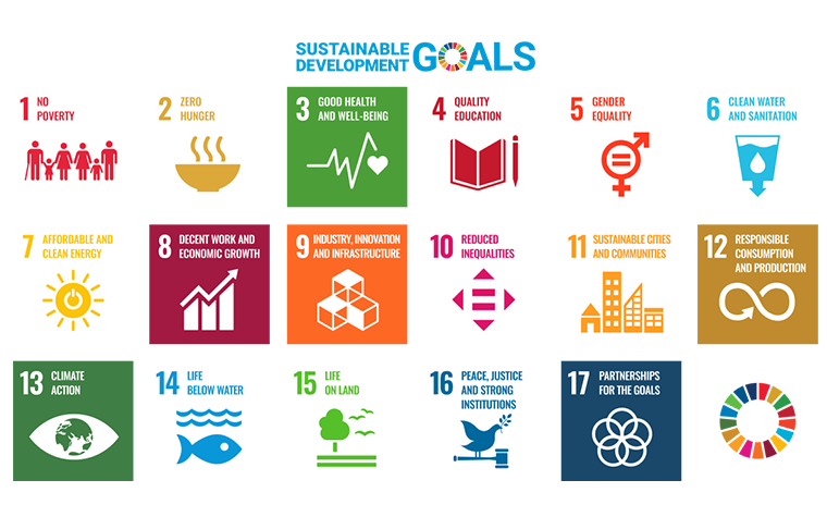 Graphic showing the 17 sustainable development goals