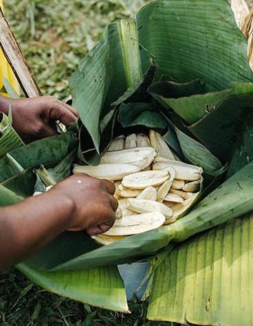 調理用バナナを準備する女性（アフリカ