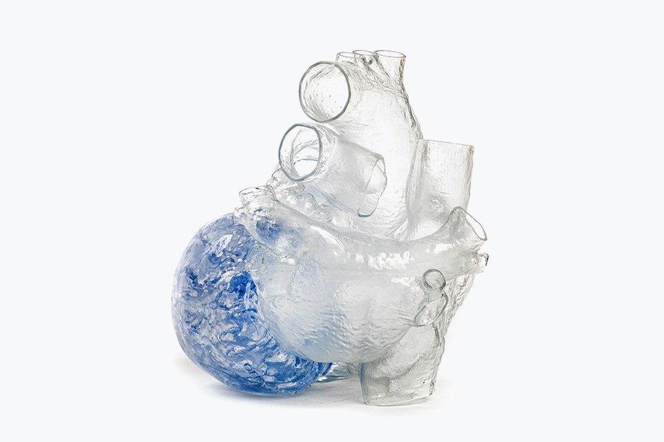 3D-printed transparent heart model