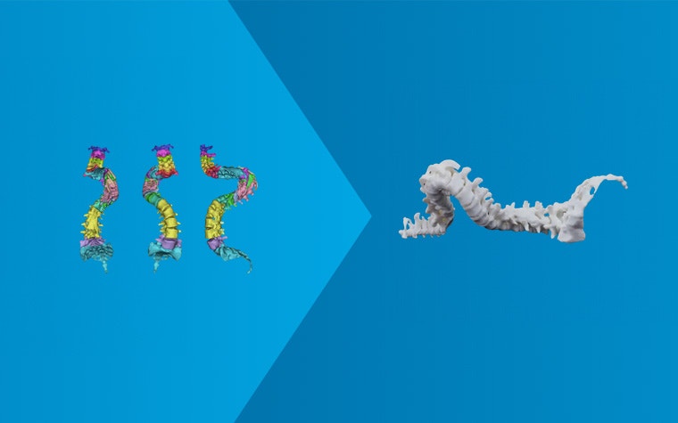 hm-spine-care-innovation.jpg