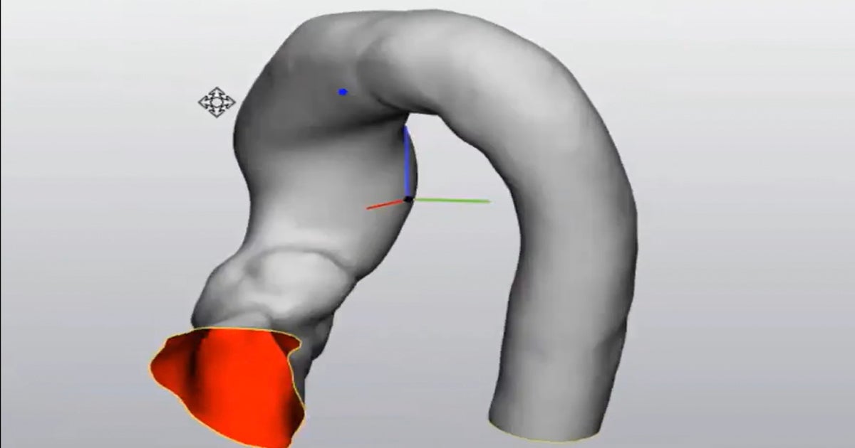 Tutorial: Creating and Interpreting your Own Statistical Shape Model