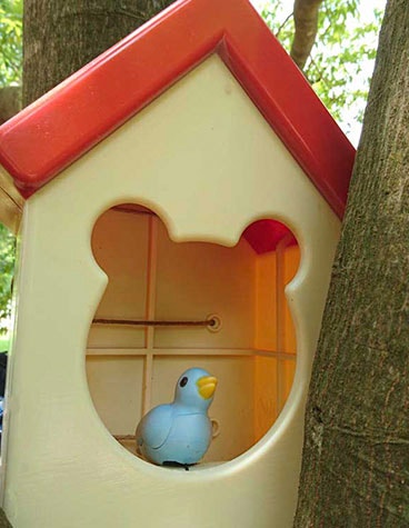 Toy bird house on a tree with a toy bird inside
