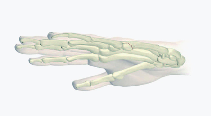 hdr-3d-model-hand-skeleton.jpg