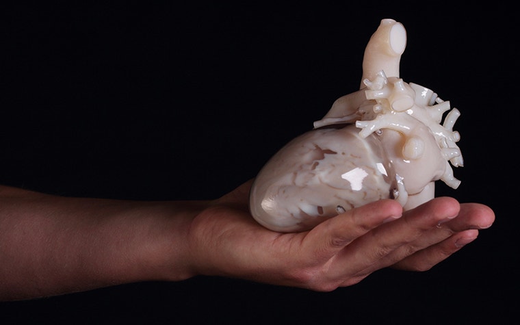 Person holding a HeartPrint model in the palm of their hand. 