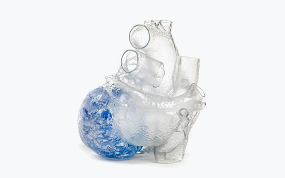 Transparent, 3D-printed model of a heart