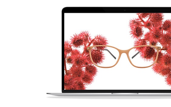 A laptop showing a pair of beige 3D-printed glasses surrounded by spiky red flowers of the castor bean plant on a white background.