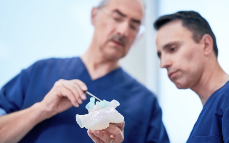 Two surgeons checking a 3D-printed anatomical model