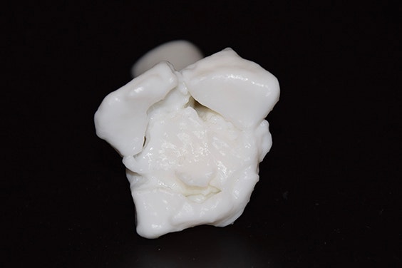 Close-up of a 3D-printed anatomical model