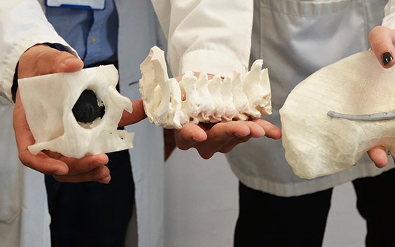 3D printing team members holding 3D-printed anatomical models 