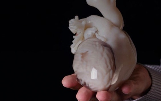How to Create a Heart Model for 3D Printing