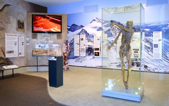 A 3D-printed mummified body in a display cabinet (wide image)