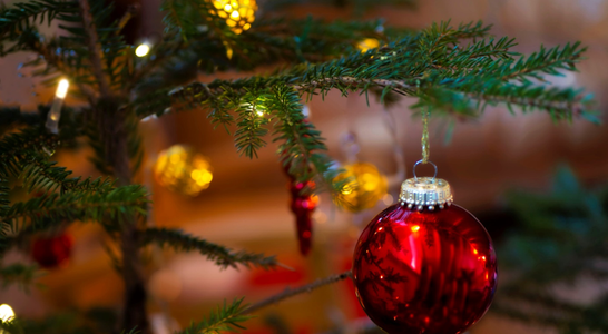 Frohe Weihnachten LBS Gutenberg Frohe Weihnachten LBS Gutenberg