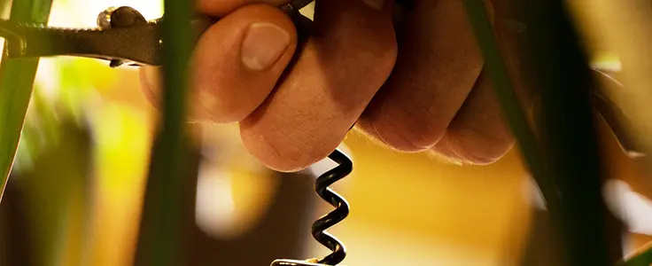 LBS Gutenberg Fachrichtung Hotelfach LBS Gutenberg Fachrichtung Hotelfach