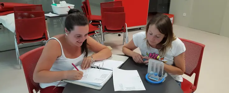 Studierende arbeiten und lernen gemeinsam Studierende arbeiten und lernen gemeinsam