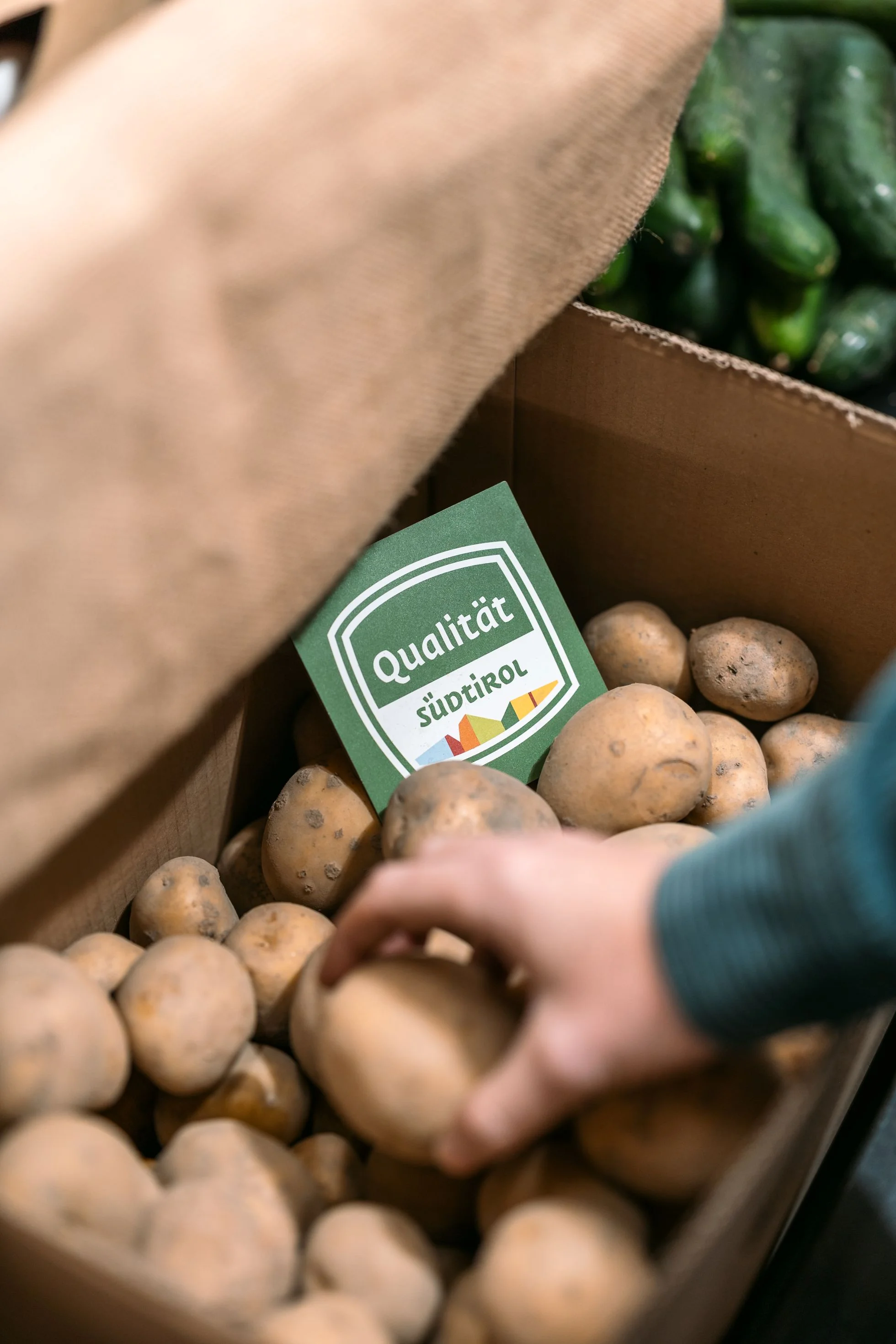 Frische Kartoffeln mit Qualitätszeichen Südtirol in Holzkiste bei der Auswahl regionaler landwirtschaftlicher Produkte