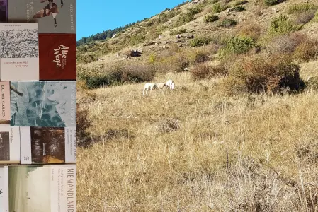 Nature Writing (Foto: Naturmuseum Bozen)