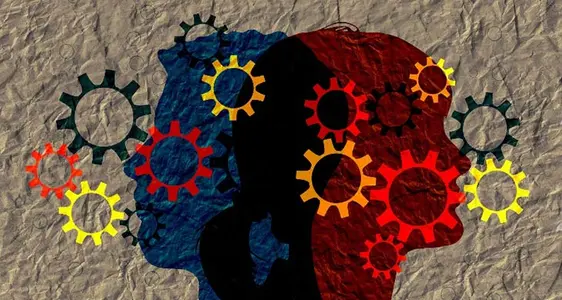 Was machen die Sprachenzentren?