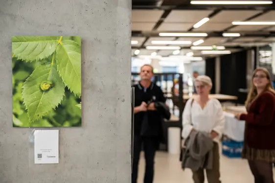 Abb. 4: Ein Foto der Photo Action: Nature in Focus, ausgestellt im NOISE.
©Laimburg Research Centre/Ivo Corrà