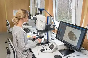 Analisi al microscopio. ©Centro di Sperimentazione Laimburg