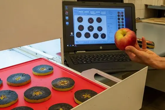 Il dispositivo digitale per misurare il contenuto di amido e determinare in maniera digitale e oggettiva il grado di maturazione delle mele. © Centro di Sperimentazione Laimburg
