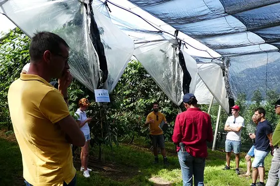 Fig. 5: I partecipanti nel ceraseto a Fragsburg: © Centro di Sperimentazione Laimburg