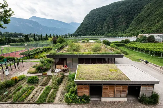 Fig. 6: Sperimentazioni di tetti verdi presso il Centro Laimburg: © NOI Techpark/ivo corrà