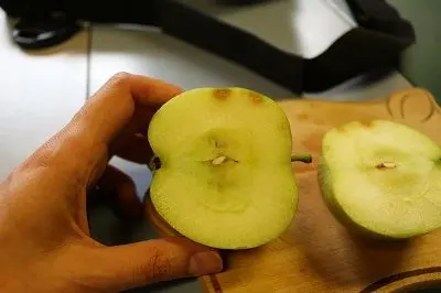 Von der Marmorierten Baumwanze verursachte Schäden an einem Apfel