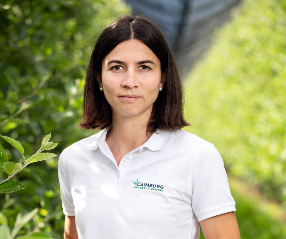 Fig. 5: Magdalena Peterlin, gruppo di lavoro Fisiologia Frutticola
© Laimburg Research Centre/Ivo Corrà